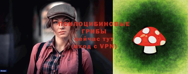 первитин Краснослободск