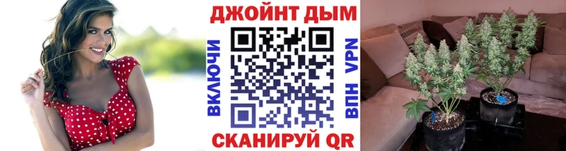 Канабис сатива  Хилок 